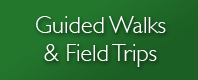 Guided Walks & Filed Trips
